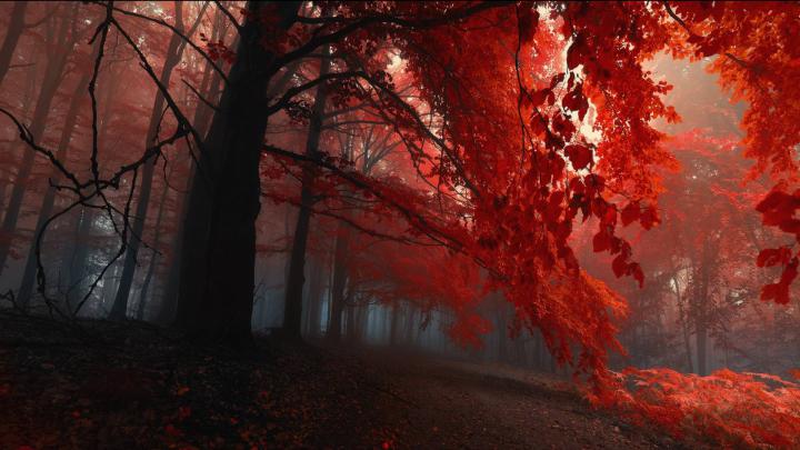 Hipster Autumn Wallpapers - Top Free Hipster Autumn Backgrounds 