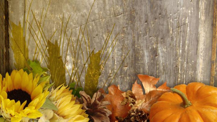 [48+] Free Harvest Wallpaper 
