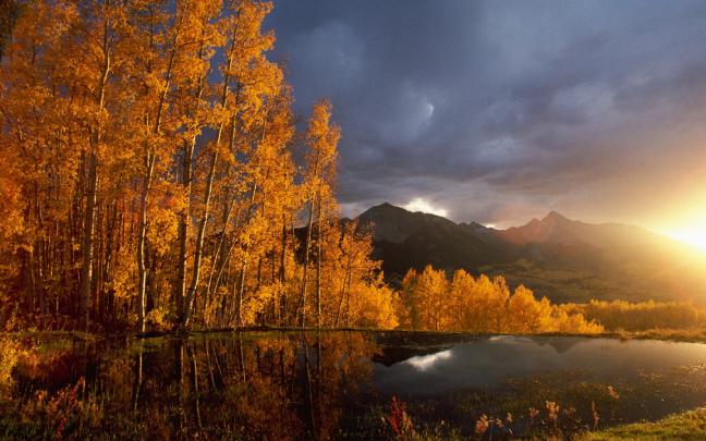 Free download Autumn 1920x1080 Wallpapers 1920x1080 Wallpapers Pictures 