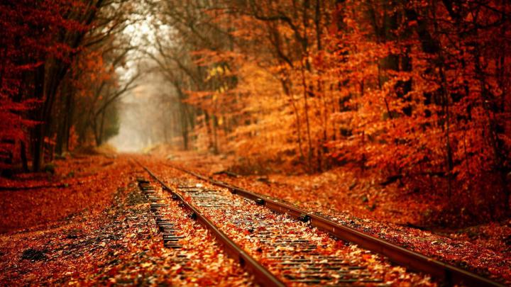 1920x1080 HD Autumn Wallpapers (61+ images)
