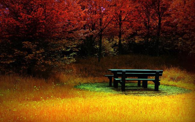 Exotic Autumn Nature Desktop | NATURE