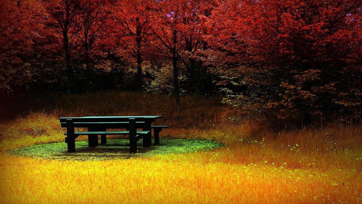 Picnic table in autumn [1920X1080] | Forest wallpaper, Beach wallpaper 