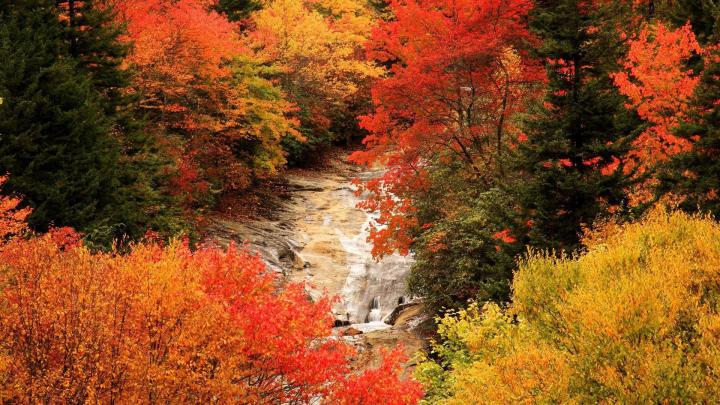 Beautiful Autumn HD Wallpapers 1920x1080 -