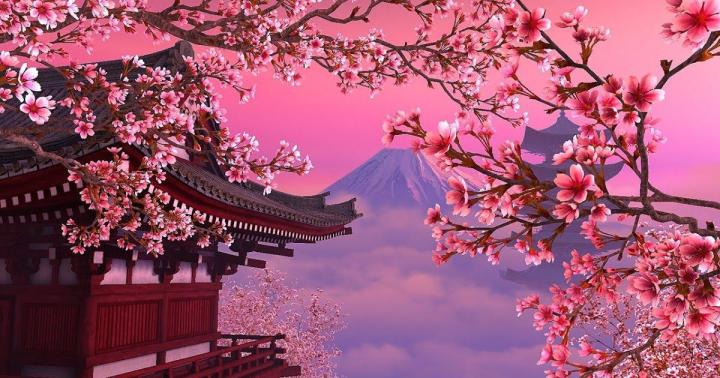 21 1080p Anime Sakura Wallpaper- Download anime sakura wallpaper engine 