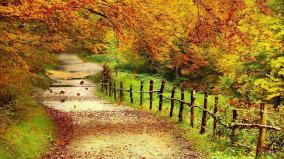 Wallpaper Autumn 1920x1080