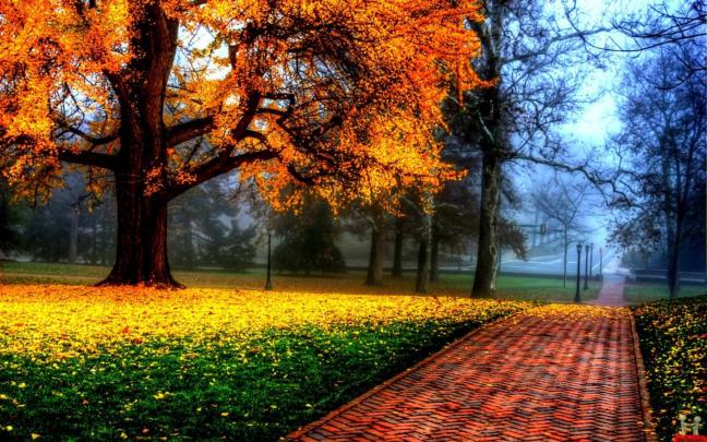 Beautiful HD Wallpapers - Top Free Beautiful HD Backgrounds 