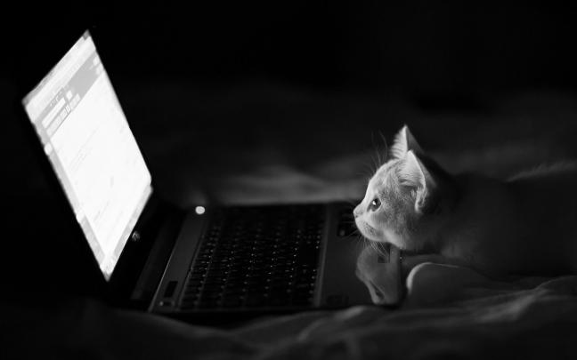 Wallpapers for Laptop HD (82+ background pictures)