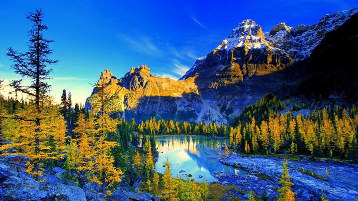 Stories: Nature 4k Wallpaper For Mobile 1920x1080 Download