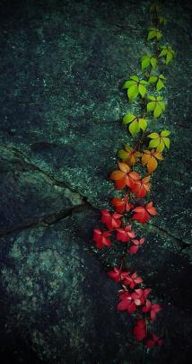 Here are handpicked collection of Best 4k Mobile Wallpapers with HD 