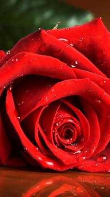Mobile HD Wallpapers, Mobile Images, Mobile HD Images