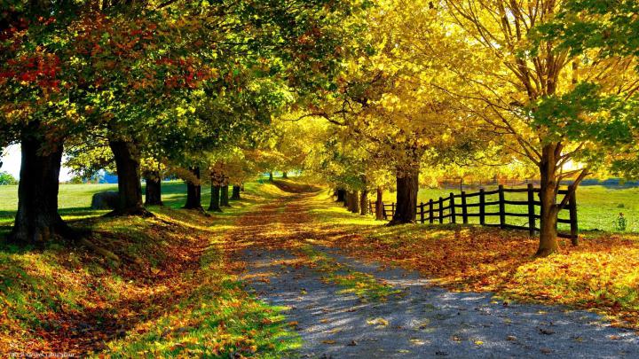 Nature Wallpapers HD For Desktop Desktop Wallpapers HD High Definition 