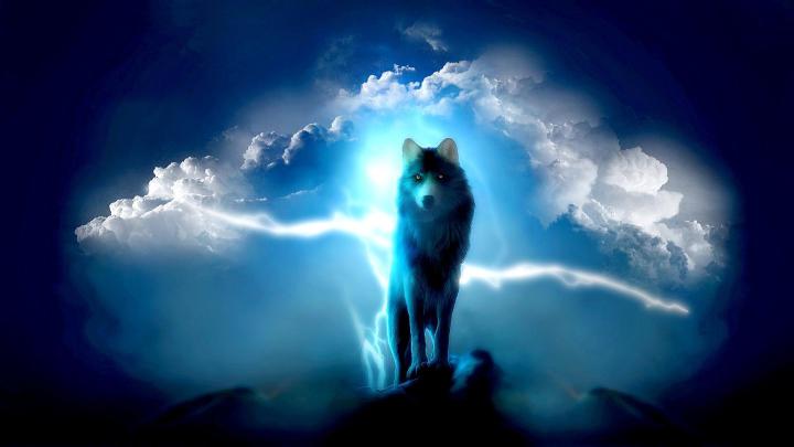 [39+] Wolf Desktop Wallpaper Free 1920x1080 