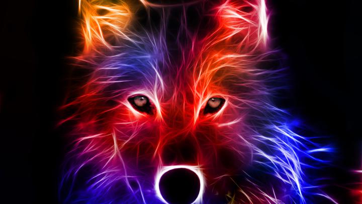 Free download Wolf Computer Wallpapers Desktop Backgrounds 1600x1200 