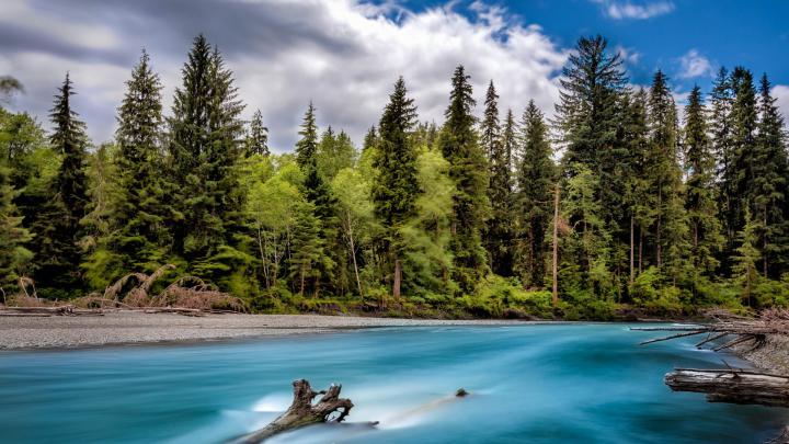 Olympic National Forest Desktop Wallpapers Desktop Wallpapers HD 4k 
