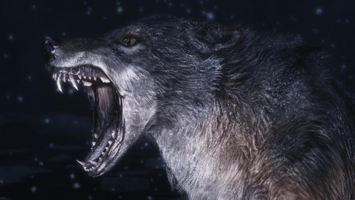 Wolf Desktop Wallpaper 1920x1080 (69+ images)