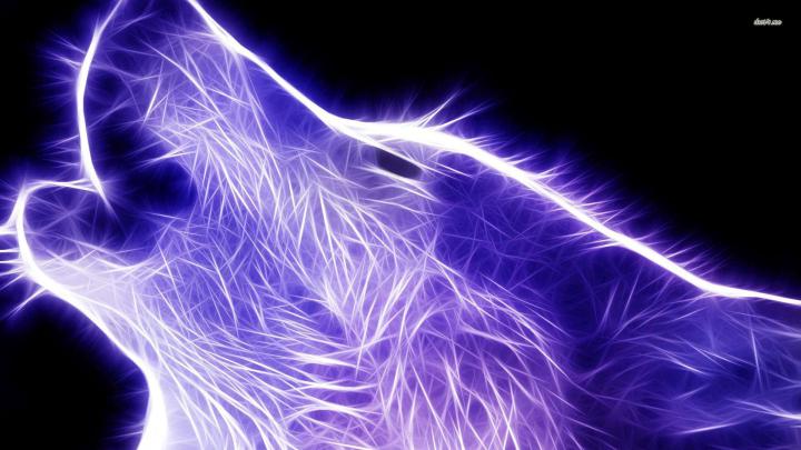 Free download Wallpapers For Cool Animal Wallpaper Light Wolf 