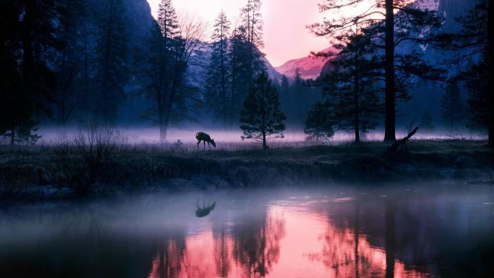 Night In Yosemite Wallpapers HD National Park HD 4k High Definition 