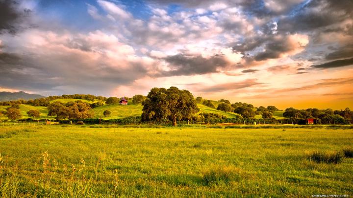 Nature Wallpaper Free 1920x1080 #3654 Wallpaper | WallDiskPaper