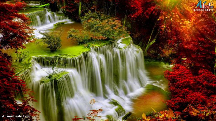 1920X1080 Full HD Nature Wallpapers - Top Free 1920X1080 Full HD Nature 