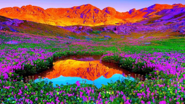 Nature 1920X1080 Wallpapers - Top Free Nature 1920X1080 Backgrounds 