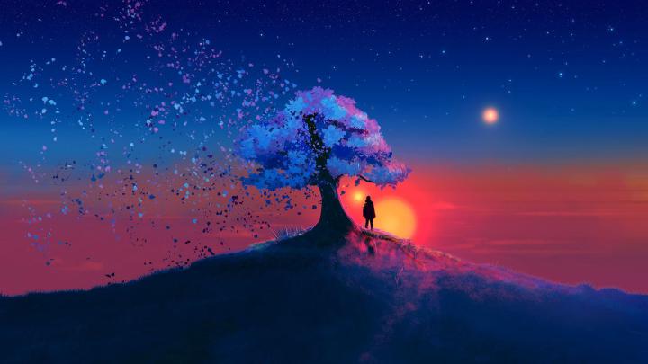 Boy Standing under Tree at Sunset HD Wallpaper | Background Image 
