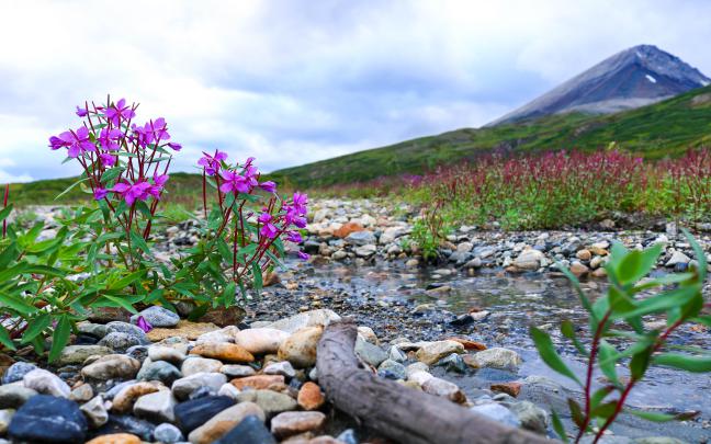 4k Nature Wallpaper Download - Wallpaper Collection
