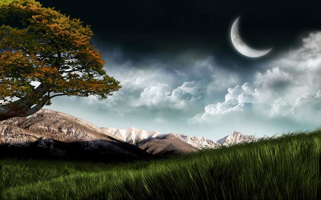 Beautiful 3D Wallpapers (63+ images)