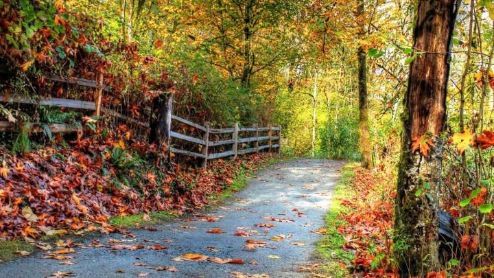 4K Nature Wallpapers - Top Free 4K Nature Backgrounds - WallpaperAccess