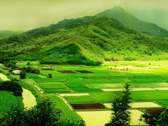 Laptop 4K Nature Wallpapers - Top Free Laptop 4K Nature Backgrounds 