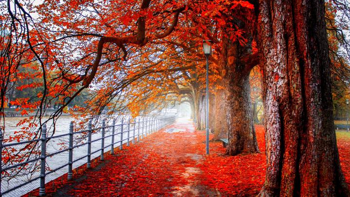 4K Ultra HD 2160P Wallpapers - Top Free 4K Ultra HD 2160P Backgrounds 