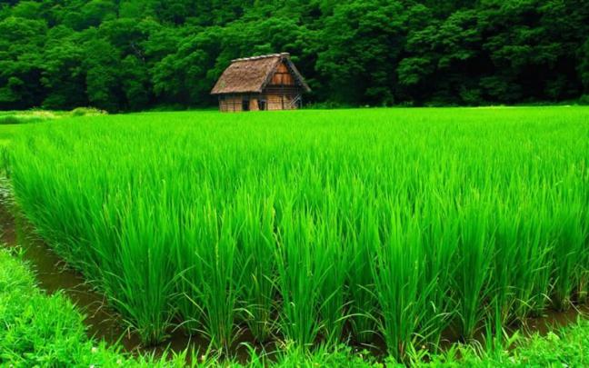 4K Ultra HD Nature Wallpapers - Top Free 4K Ultra HD Nature Backgrounds 