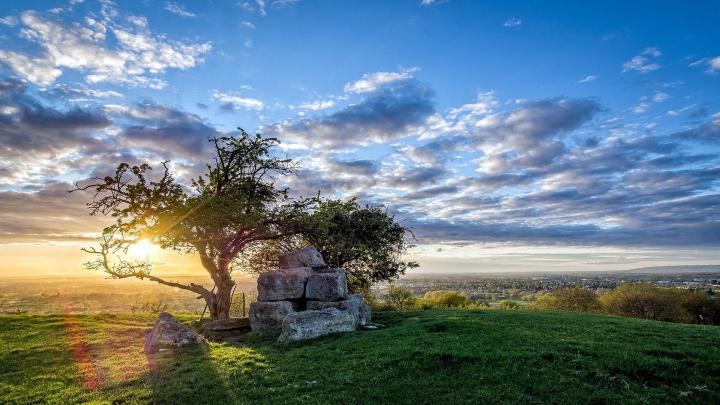 Nature Wallpaper Hd 1920x1080 Via Classy Bro Natureza Grama