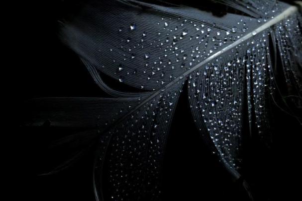 Black wallpaper HD \u00b7\u2460 Download free stunning HD wallpapers for desktop 