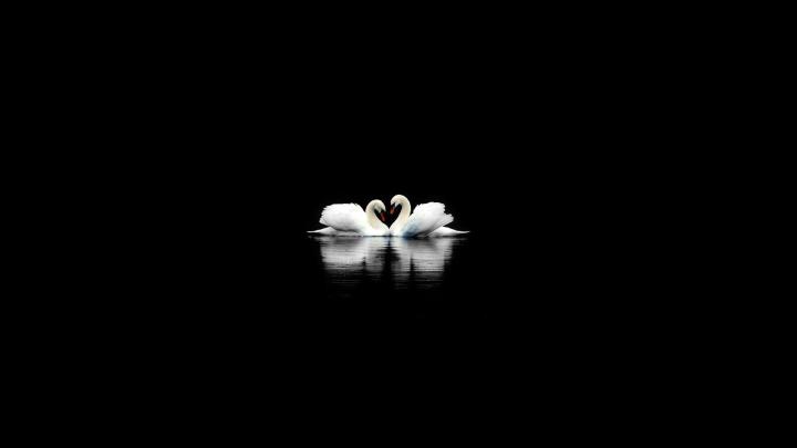 Pure Black wallpaper \u00b7\u2460 Download free stunning HD wallpapers for 