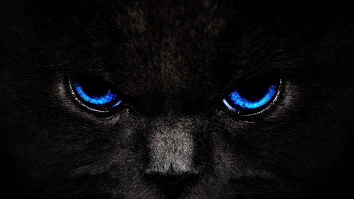 Black wallpaper HD \u00b7\u2460 Download free stunning HD wallpapers for desktop 