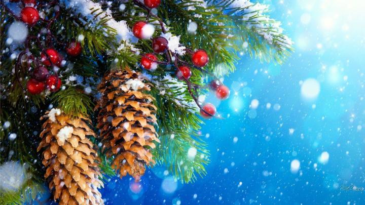 Winter and Christmas Wallpapers (69+ background pictures)
