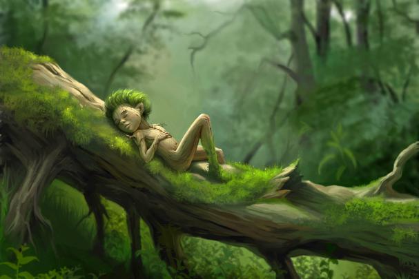 Fantasy Forest Wallpapers (71+ background pictures)