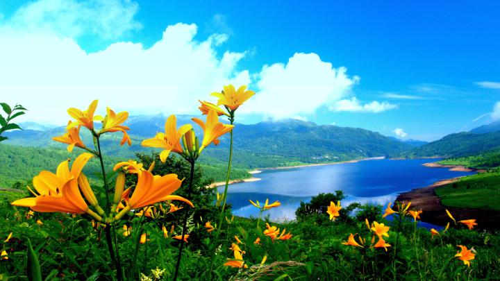 Free download Nature Wallpaper HD Wallpapers Backgrounds of Your Choice 