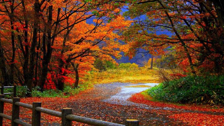 Fall Scene Wallpaper (35+ images)
