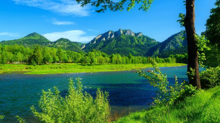 River Dunajec Poland-summer-landscape-Mountains with forest-green grass 