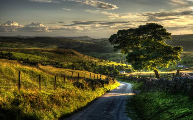 Countryside nature scenery, fence, hills, road, trees wallpaper 