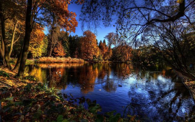 100 Wallpapers HD de la naturaleza. Parte 16 - Im\u00e1genes - Taringa!