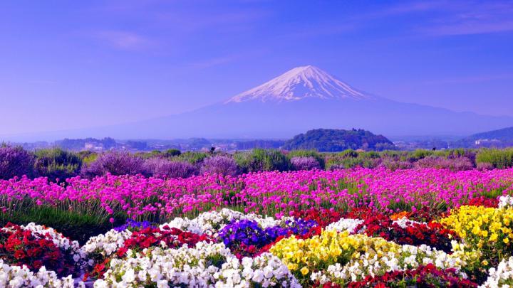 Angelanne: Fond D\u00e9cran Hd 1920x1080 Printemps