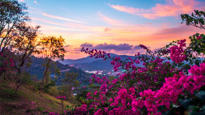 Fond D \u00e9cran Printemps 1920x1080