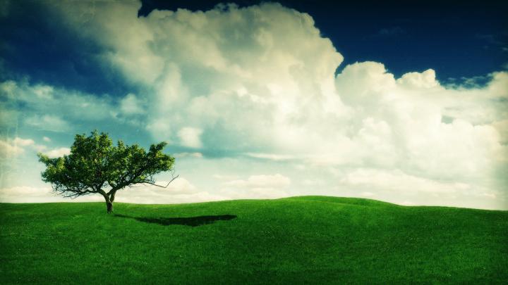 1920 x 1080 Summer Wallpaper -