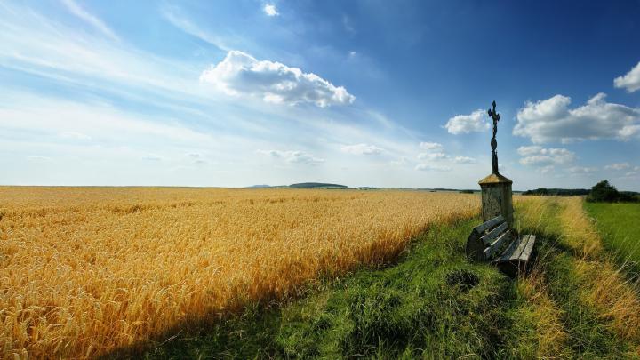 HD Wallpaper Widescreen 1920x1080 (69+ pictures)