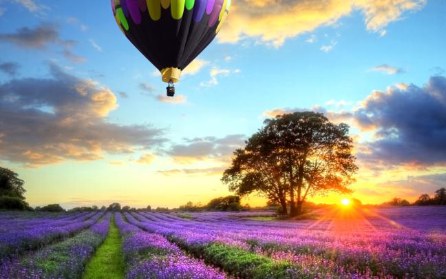 Lavender Field Wallpaper for Widescreen Desktop PC 1920x1080 Full HD
