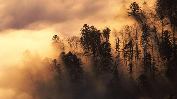 HD Wallpaper Widescreen 1920x1080 (69+ pictures)