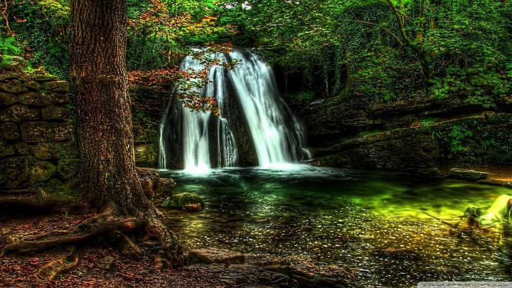 Forest wallpaper HD \u00b7\u2460 Download free awesome backgrounds for desktop 