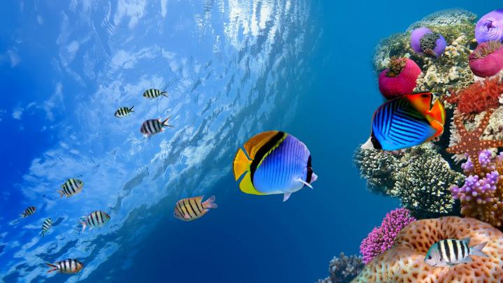 Ocean Wallpapers High Resolution (71+ images)